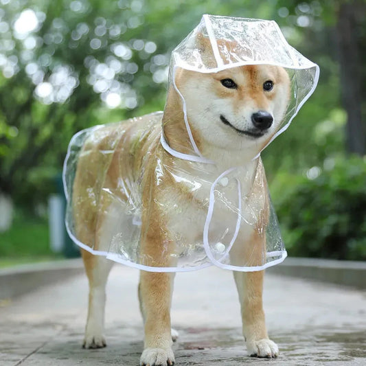 Capa de Chuva Transparente para Cães com Capuz